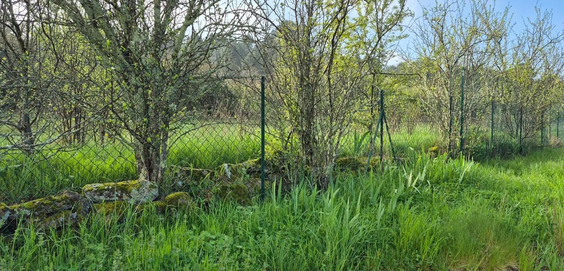 Gite A Ailhon - Villa Colibri 0*,  France